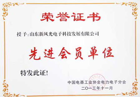 乐玩·体育电子公司荣获中国电器工业协会电力电子分会“先进